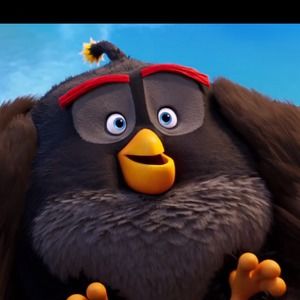 Meet your Posher, Lucy